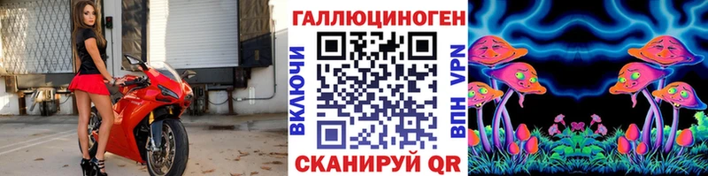 Купить где  Куртамыш  Псилоцибиновые грибы Psilocybe 